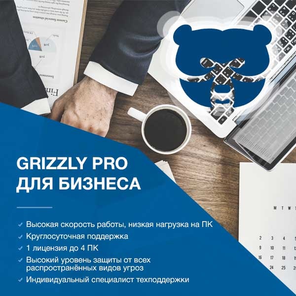 Grizzly Pro Антивирус для Бизнеса на 2, 4 ПК Электронная версия