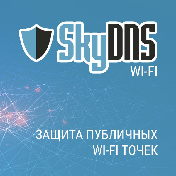 SkyDNS Wi-Fi Электронная версия